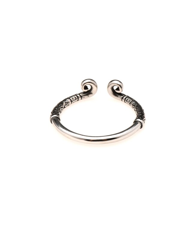 XR Brands Master Series - Roestvrijstalen Glansring - Zilver