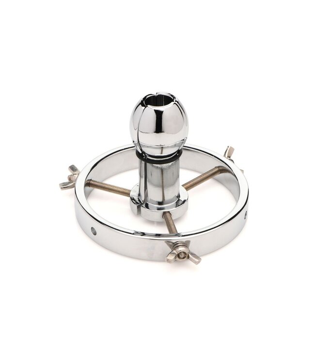 XR Brands Master Series - Roestvrij Stalen Anaal Verkenner