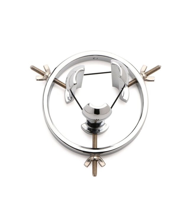 XR Brands Master Series - Roestvrij Stalen Anaal Verkenner