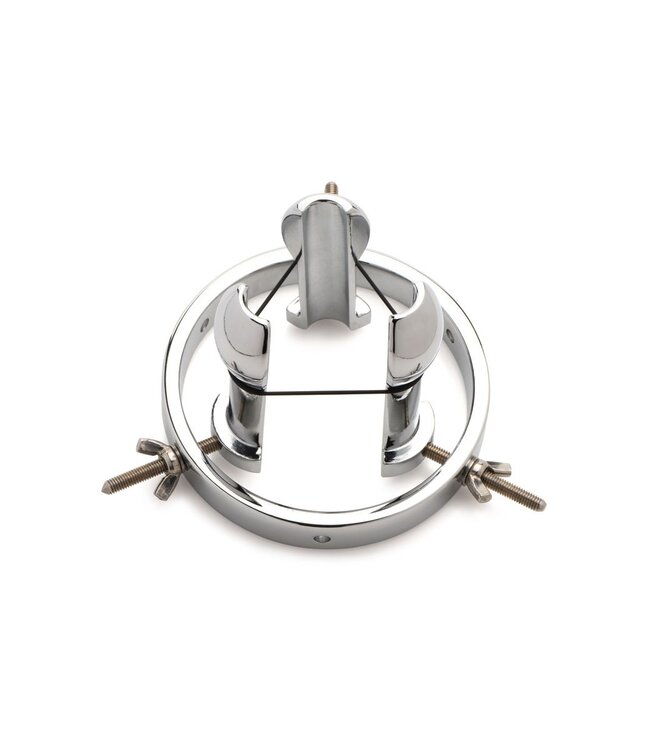 XR Brands Master Series - Roestvrij Stalen Anaal Verkenner