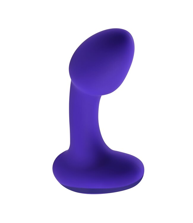 Gender X Evolved Novelties - Anybody's Plug - Paars