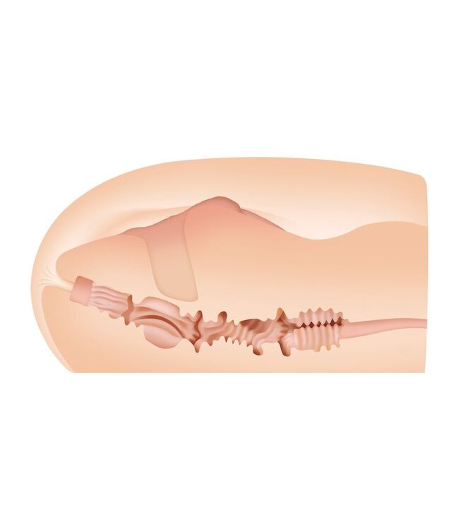 Zero Tolerance Evolved - Sasha Grey Realistische Masturbator