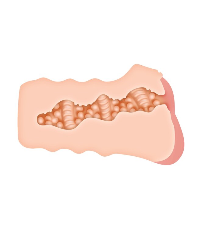 Zero Tolerance Evolved - Riley Reid Masturbator