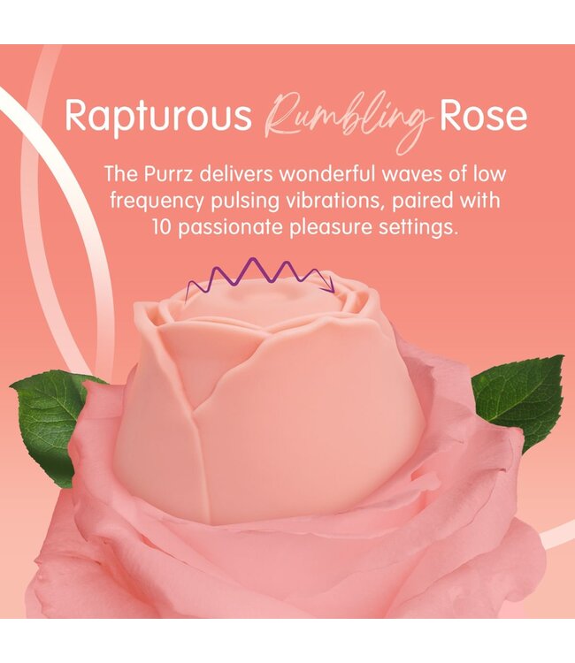 Creative Conceptions Skins Rose Buddies - The Rose Purrz Vibrator