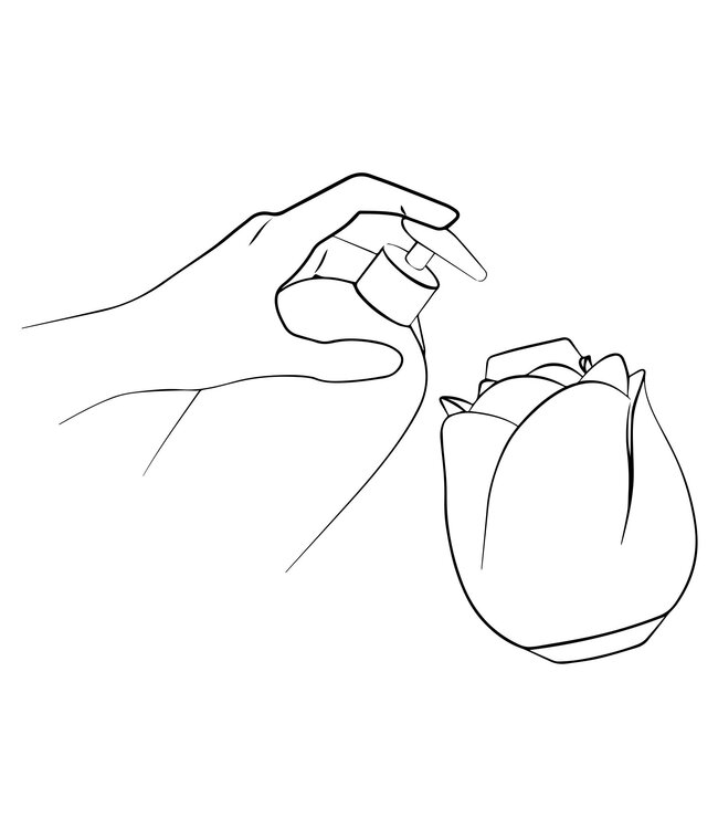 ROMP ROMP by Womanizer - Rose Luchtdrukvibrator - Roze