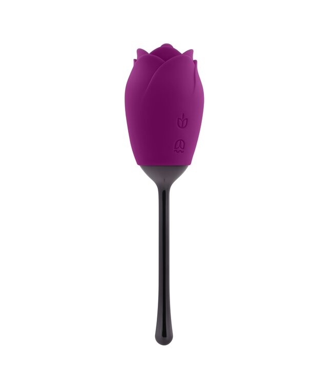Playboy Playboy- Petal vibrator - Paars/zwart