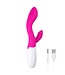 Easytoys Vibe Collection Easytoys Lily Vibrator 2.0 – Oplaadbaar Roze
