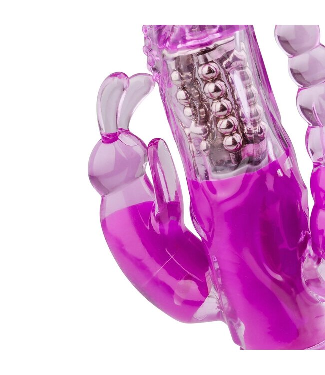 Easytoys Vibe Collection Raving Rabbit Vibrator - Paars