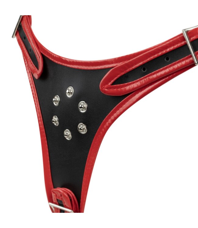 Easytoys Fetish Collection Easytoys Fetish - Triple Dildo Strap-On Harness