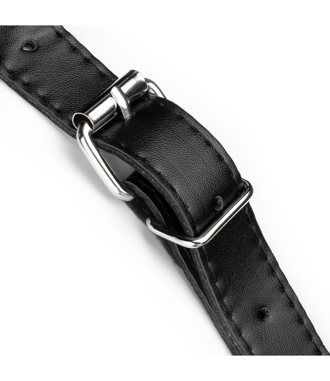 Easytoys Fetish Collection Easytoys Fetish - Dubbel Dildo Strap-On Set - Zwart