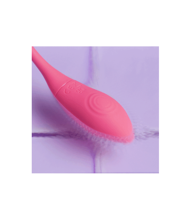 EasyConnect EasyConnect - Vibrerend Eitje Aria app gestuurd