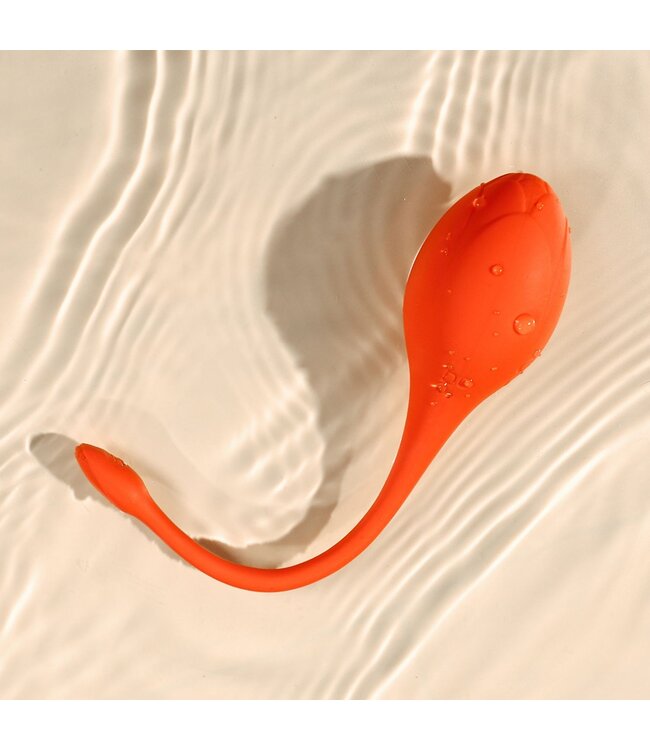 HoneyPlayBox HoneyPlayBox - LILI App-bestuurde Eivibrator Oranje