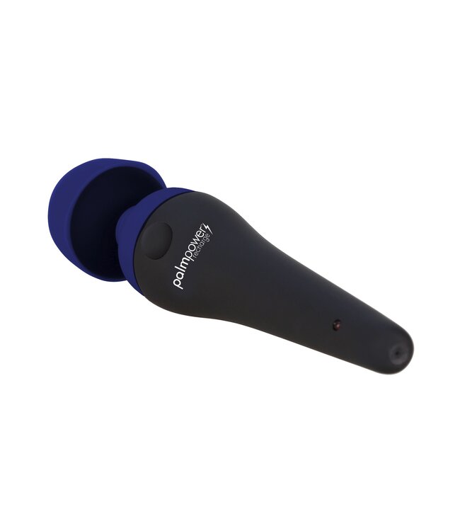 Palm Power PalmPower - Recharge Wand Massager Blue