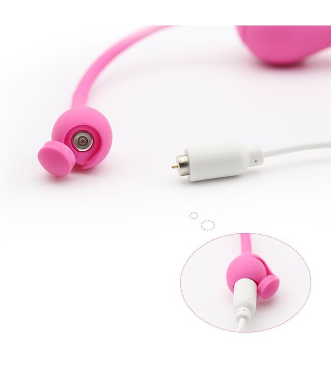 Magic Motion Magic Motion - Smart Kegel Master Balls Roze