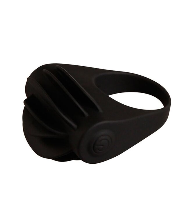 Rimba Crazy Bull - Chester