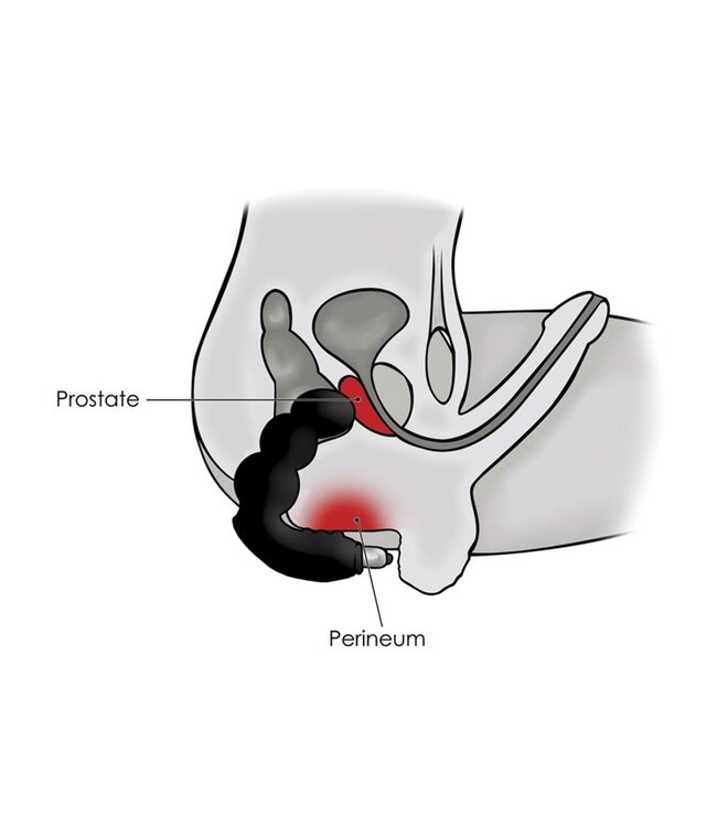 Rimba Rocks-Off  Big-Boy 7 Speed