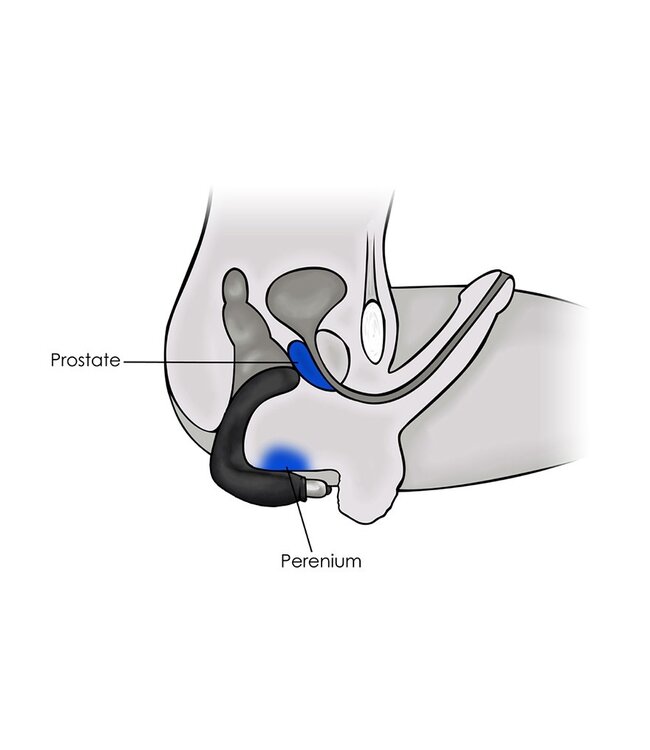 Rimba Rocks-Off  Rude-Boy 7 Speed