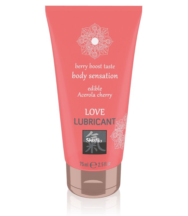 HOT Shiatsu Love Lubricant Edible
