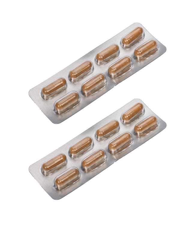 Rimba Dorcel Gélules PERFORMER +