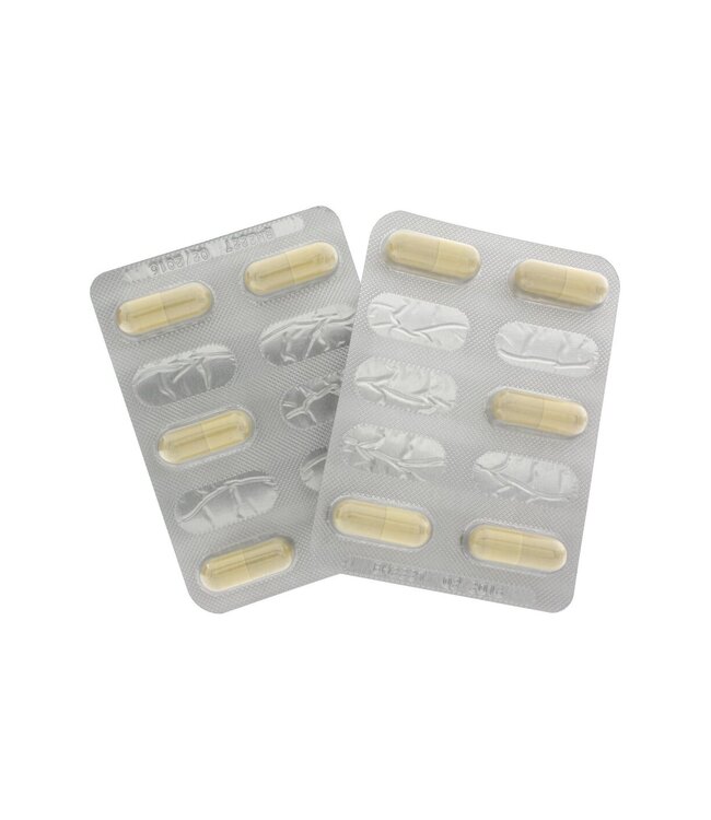 HOT Ex Libido Caps Her 1 X 10pcs