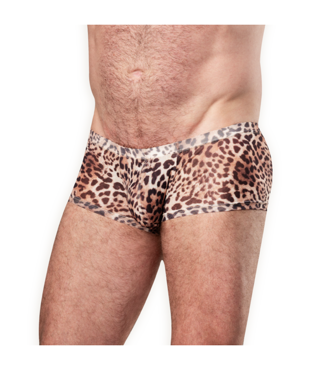 Rimba Amorable by Rimba - Transparante Luipaard Short