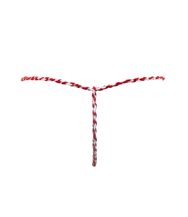 Rimba Amorable by Rimba - Pride String - One Size - Multicolor