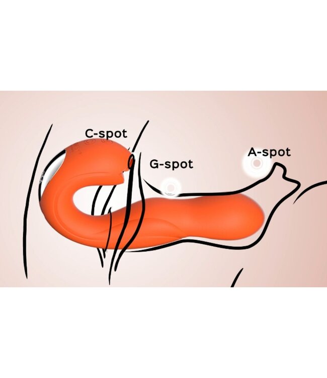 HoneyPlayBox HoneyPlayBox - JOI Vibrator - Rood