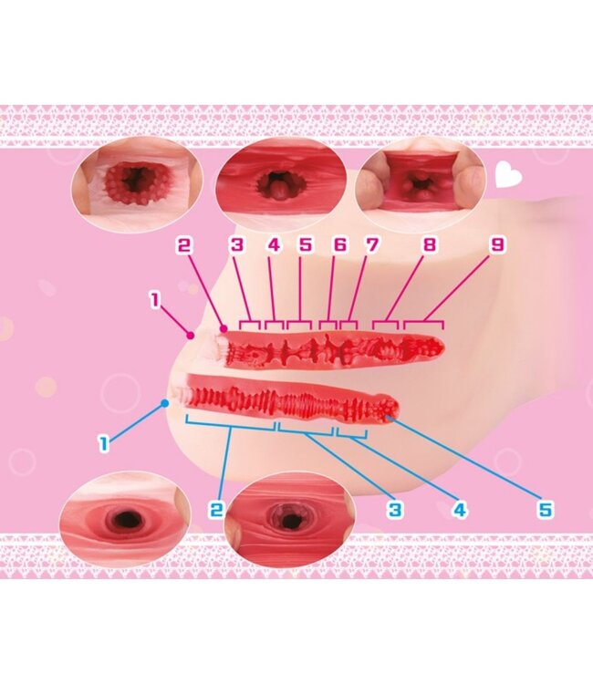 Seiraku Toys Seiraku Toys – Ultimate Aska Mai Torso – Peach