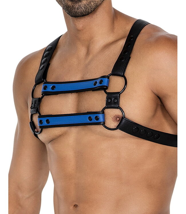 Rimba H4RNESS by C4M - 4WAY Harnas - Stralend Blauw