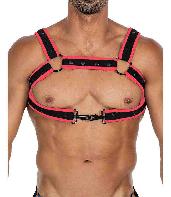 Rimba H4RNESS by C4M- NEO - Harnas -Rood