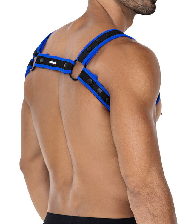 Rimba H4RNESS by C4M - NEO - Harnas - Electric Blue