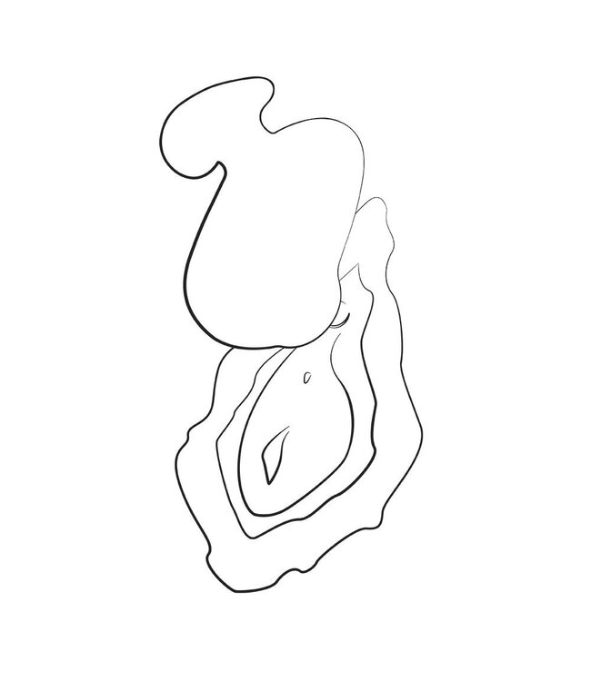 ROMP ROMP by Womanizer - Kiss Compacte Vibrator