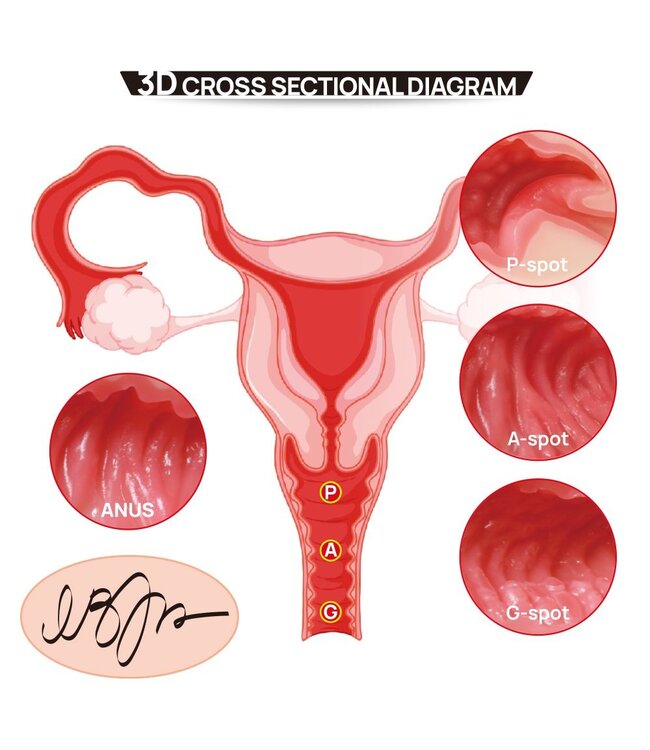 Kokos Kokos - 004 Vanilla Onahole Real Hips Double Layer