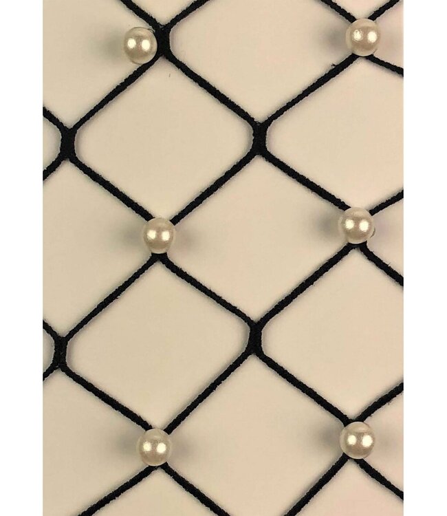 Leg Avenue Faux pearl fence net tights