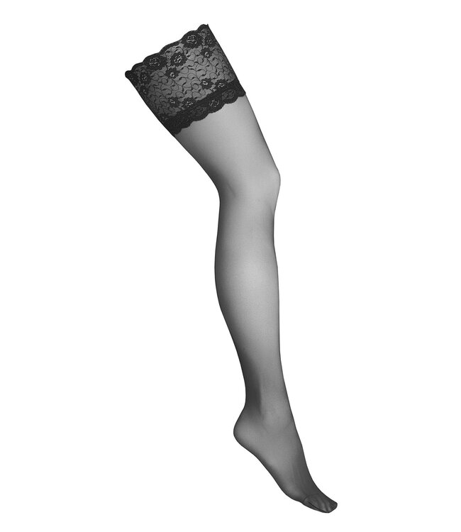 Kotek Hold Ups H008