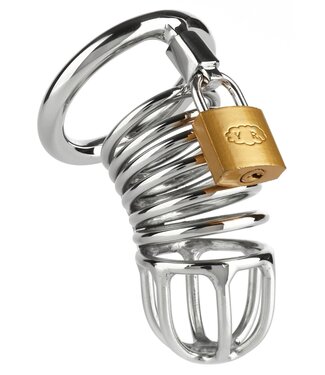 Mr. Steel Ring Master Chastity Device