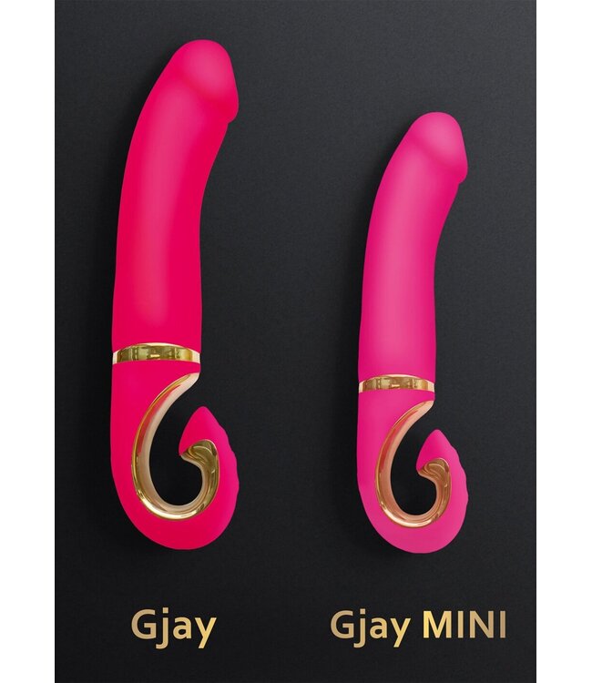 Gvibe Gjay Mini