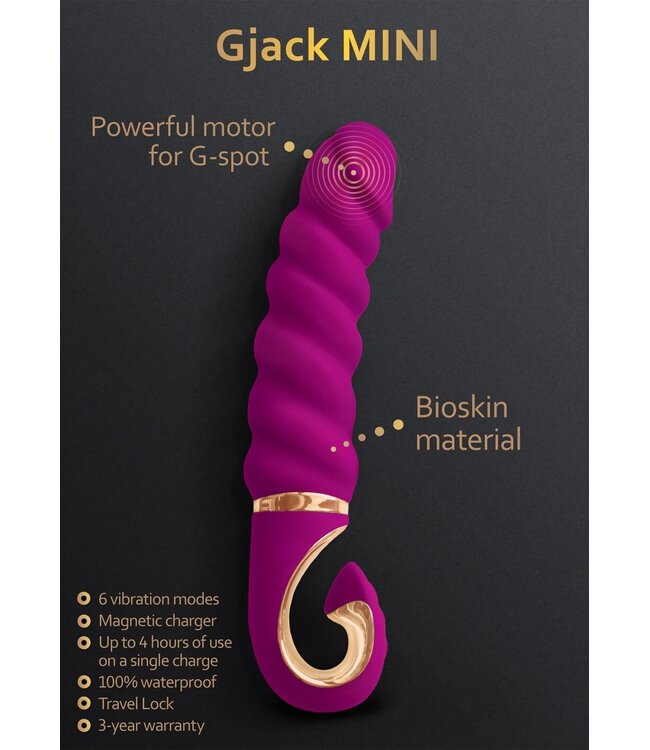 Gvibe Gjack Mini