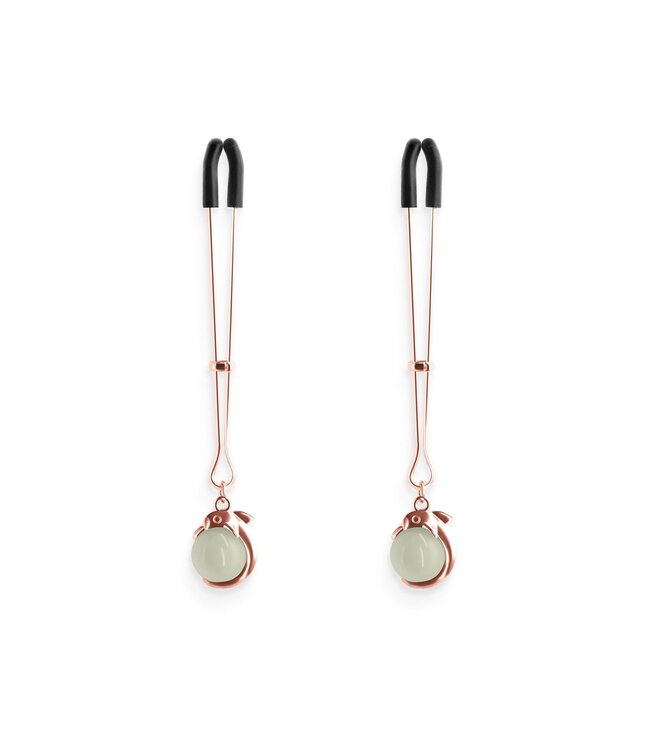 NS Novelties Bound Nipple Clamps G1