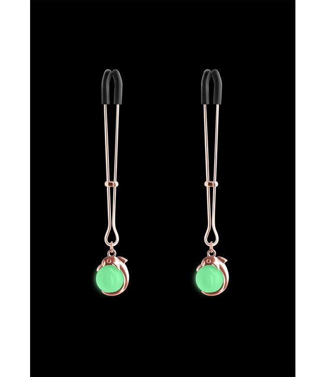 NS Novelties Bound Nipple Clamps G1