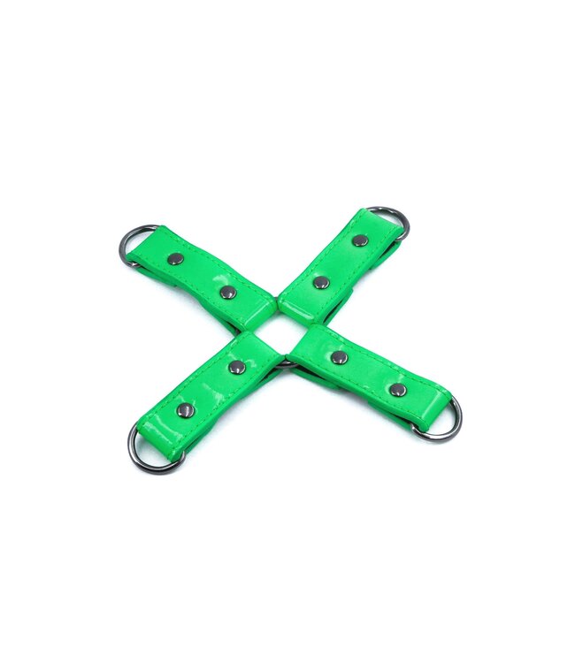 NS Novelties Electra Hogtie