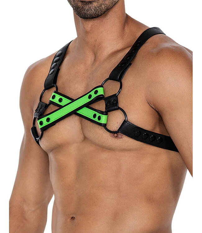 Rimba H4RNESS van C4M - 4WAY Harnas - Blazing Groen