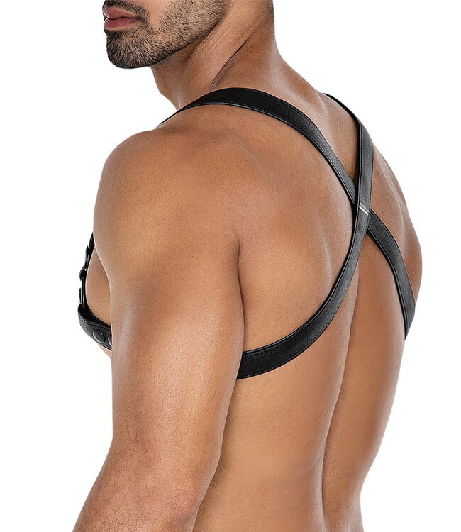 Rimba H4RNESS by C4M - 4WAY Harnas - Stralend Blauw