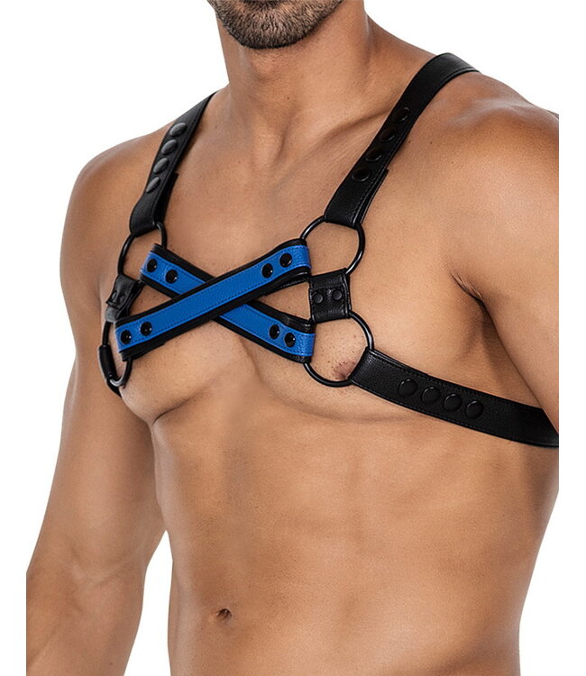 Rimba H4RNESS by C4M - 4WAY Harnas - Stralend Blauw