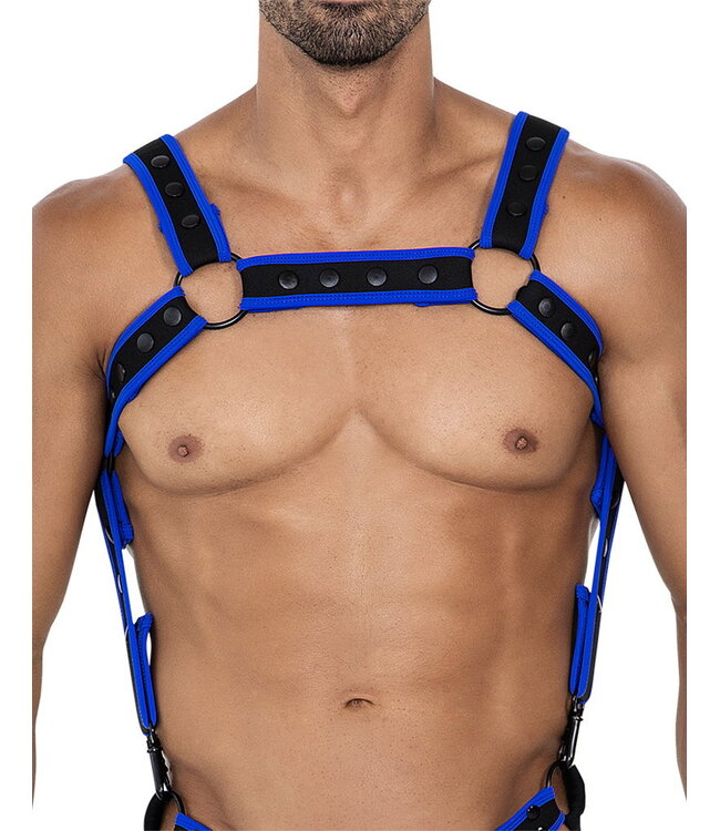 Rimba H4RNESS by C4M - NEO - Harnas - Electric Blue