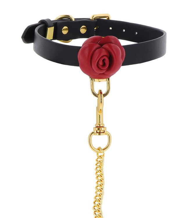 Taboom Wild Roses Collar & Leash