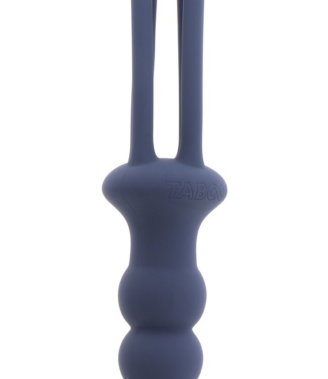Silicone Whip and Plug