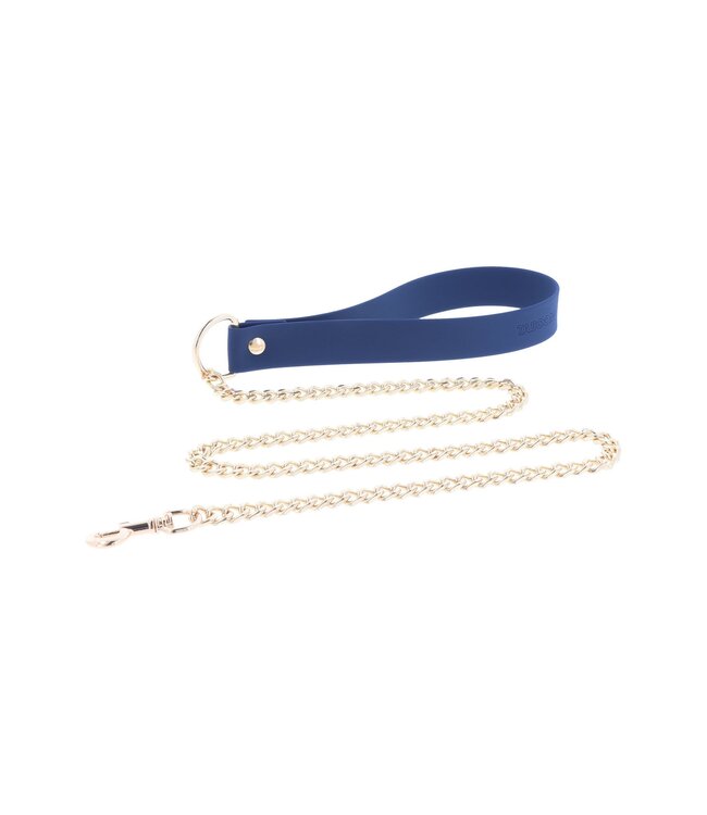 Silicone Collar and Leash