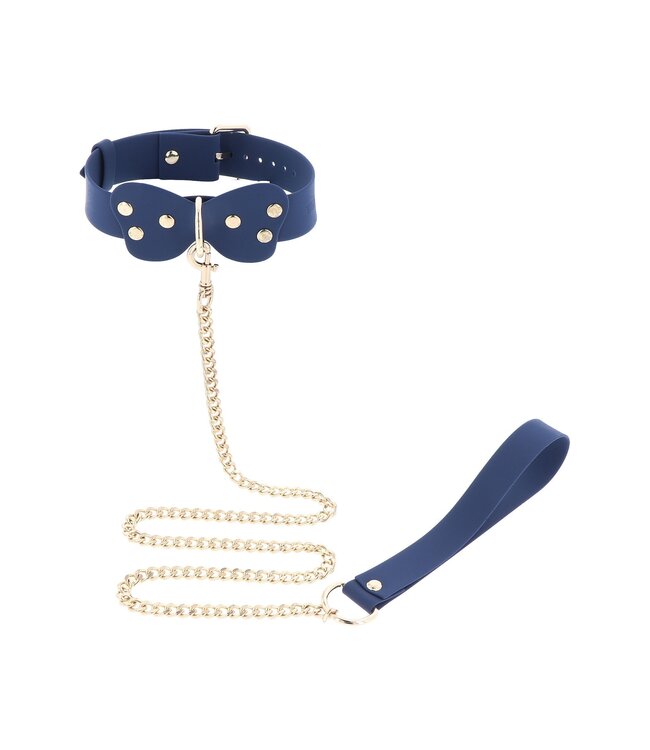 Silicone Collar and Leash