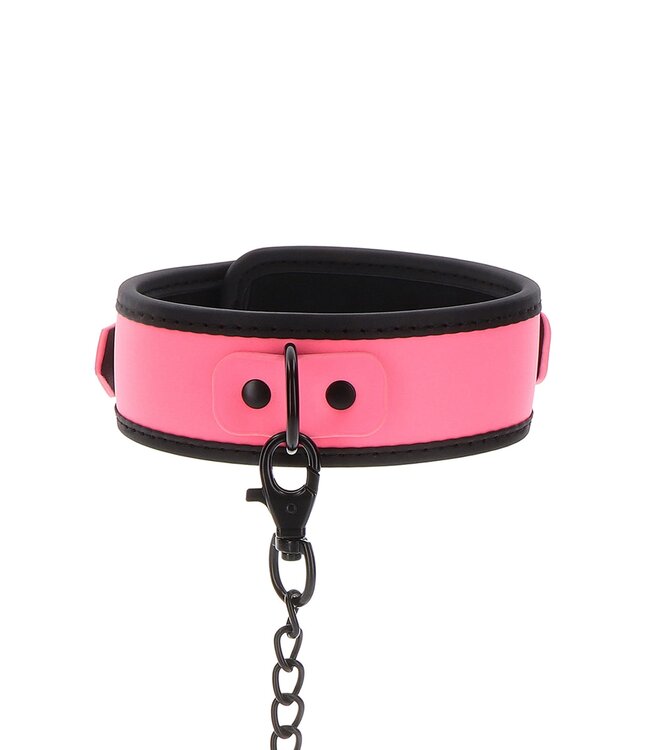 Taboom Glow In the Dark Collar and Chain Leash